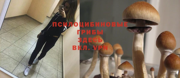 стаф Алексеевка
