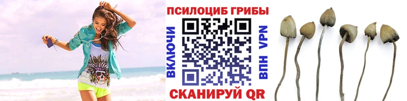 Псилоцибиновые грибы ЛСД  Уссурийск 
